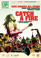 Catch_a_fire_flyer_front-min-tiny